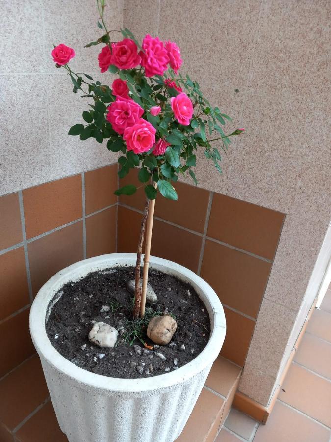 Boa Vista Daire Combarro Dış mekan fotoğraf